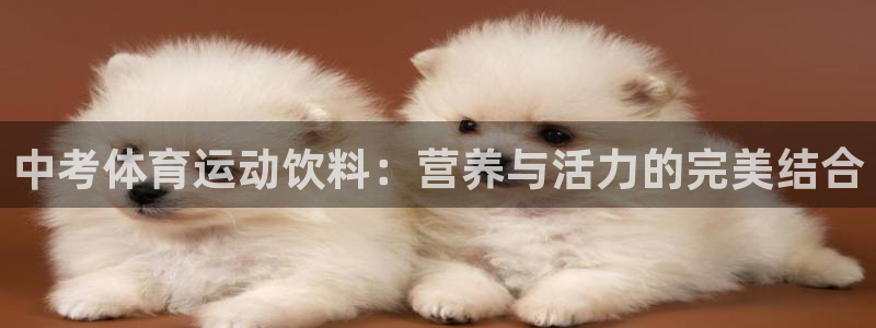 z66体育全站APP下载：中考体育运动饮料：营养与活力的完美结合