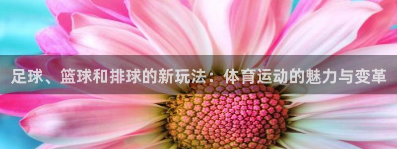 z66体育APP现在：足球、篮球和排球的新玩法：体育运动的魅力与变革