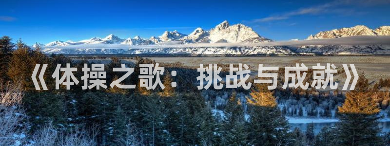 z66体育app下载：《体操之歌：挑战与成就》