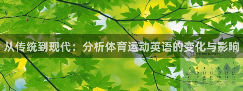 Z66体育官方网站：从传统到现代：分析体育运动英语的变化与影响