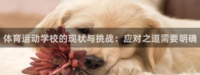 z66体育平台：体育运动学校的现状与挑战：应对之道需要明确