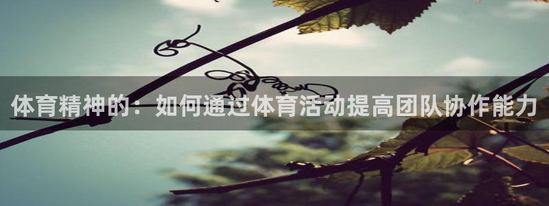 z66体育彩票：体育精神的：如何通过体育活动提高团队协作能力