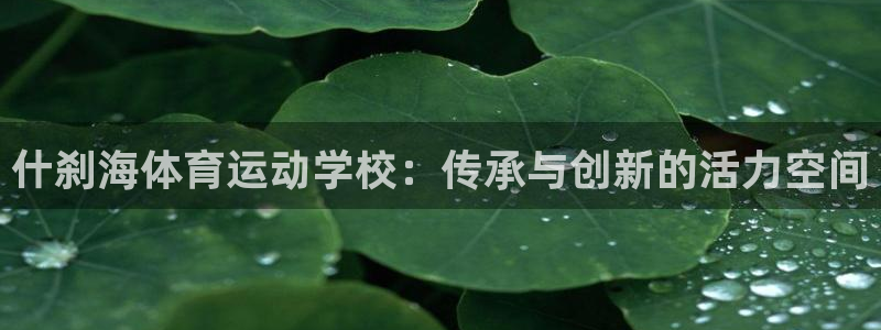 z66体育APP现在：什刹海体育运动学校：传承与创新的活力空间