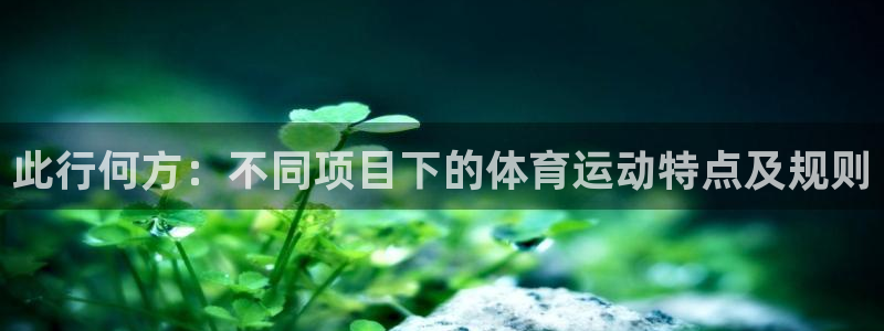 z66体育网站是正规的吗：此行何方：不同项目下的体育运动特点及规则